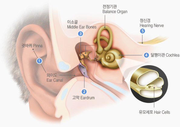 청취원리
